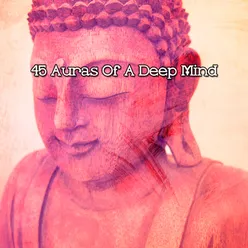 45 Auras Of A Deep Mind