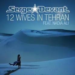 12 Wives in Tehran