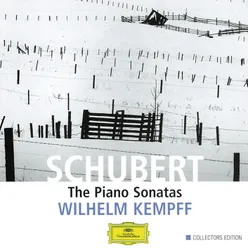 Schubert: The Piano Sonatas-7 CD's