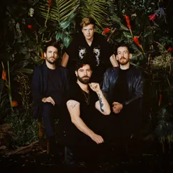 Foals