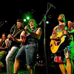 Hayseed Dixie