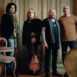 Gov't Mule