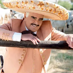 Vicente Fernández