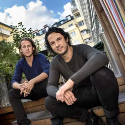 Ylvis