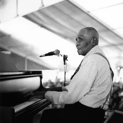 Sunnyland Slim