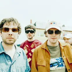 Super Furry Animals