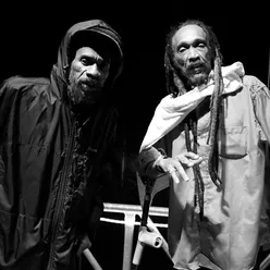 Israel Vibration