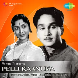 Kannulatho Palakarinchu