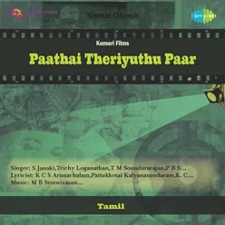 PAATHAITHERIYUTHU PAAR