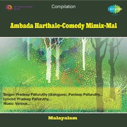 AMBADA HARTHALE-COMEDY MIMIX-MAL