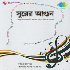 SURER AGUN EVERGREEN BENGALI HITS OF INSTRUMENTS