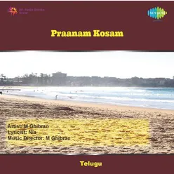 PRAANAM KOSAM