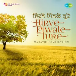 HIRVE PIWALE TURE (COMPILATION) - MARATHI