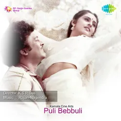 PULI-BEBBULI