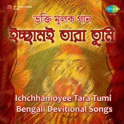 ICHCHHAMOYEE TARA TUMI VARIOUS