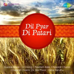 DIL PYAR DI PATARI