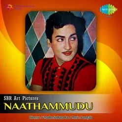 NAATHAMMUDU