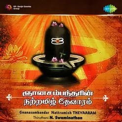 Saarandavarkku