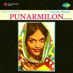 PUNARMILON