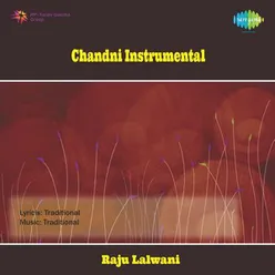 CHANDNI INSTRUMENTAL