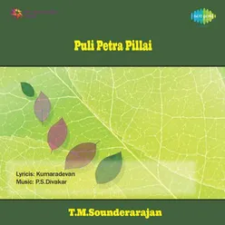 Endrum Thunbamillai Duet Version