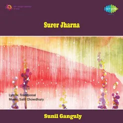 Chale Je Jai Din Electric Guitar Sunil Ganguly