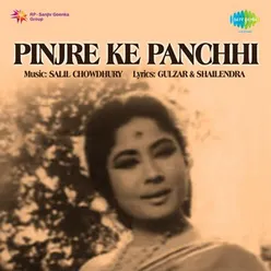 PINJRE KE PANCHHI