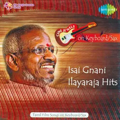 MELODY HITS OF ILAYARAJA MELODY INSTRUMENTAL TAMIL