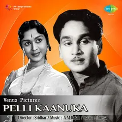 PELLI KAANUKA