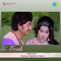 HULIYA HAALINA MEVU