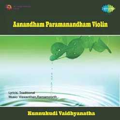 AANANDHAM PARAMANANDHAM VIOLIN