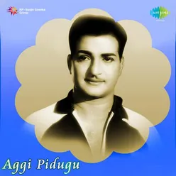 AGGI PIDUGU