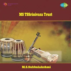 M/S T.S.SRINIVASA TRUST