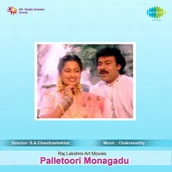 PALLETOORI MONAGADU