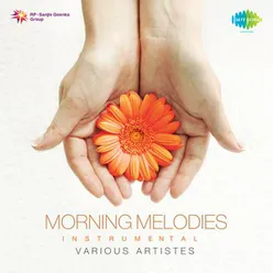 MORNING MELODIES INSTRUMENTAL VARIOUS ARTISTES