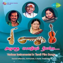 INSTRUMENTAL VARIOUS ARTISTES