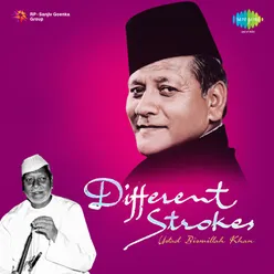 Different Strokes - Goonj Uthi Shehnai
