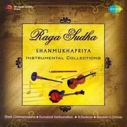 Ragasudha Shanmukhapriya - Instrumental
