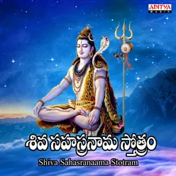 Shiva Sahasranama Stotram