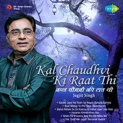 Kal Chaudhvin Ki Raat Thi - Jagjit Singh