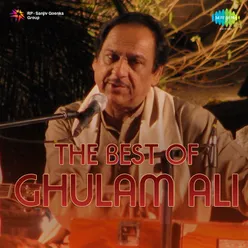 The Best From Ghulam Ali Concerts