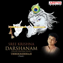 Sree Krishna Darshanam