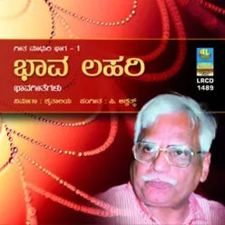 Bhava Lahari