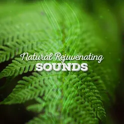 Natural Rejuvenating Sounds