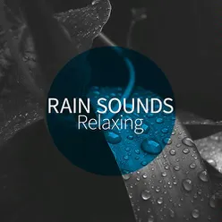 Stereo Rainfall