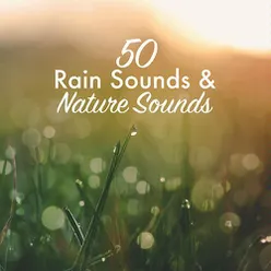 50 Rain Sounds & Nature Sounds