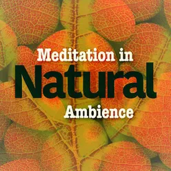Meditation in Natural Ambience