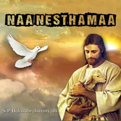 Nesthamaa Naa Nesthamaa