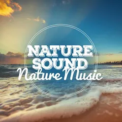 Nature Sound Nature Music