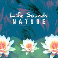 Life Sounds Nature